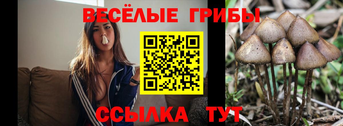 Мытищи  Псилоцибиновые грибы Cubensis  Псилоцибиновые грибы ЛСД  Вход с VPN 